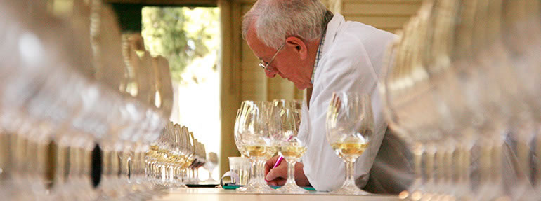 Judges at work during the show